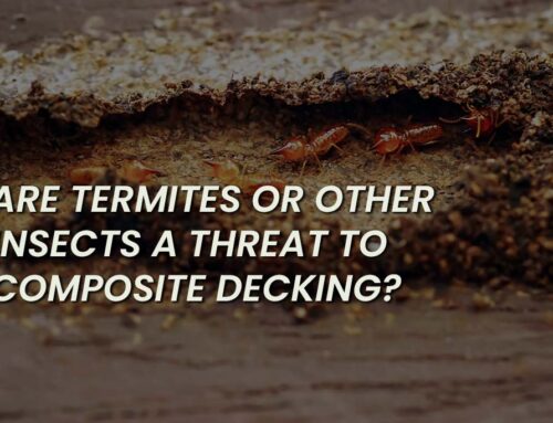 Are Termites or other Insects a Threat to Composite Decking?